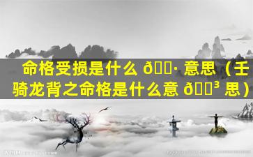 命格受损是什么 🕷 意思（壬骑龙背之命格是什么意 🐳 思）